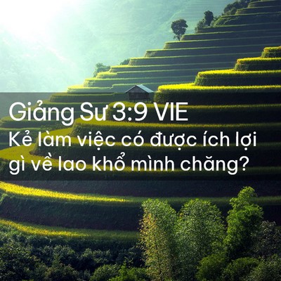 Picture 02 - Giảng Sư 3:9 VIE - Kẻ làm việc có được ích lợi gì về - Bible Verse Picture