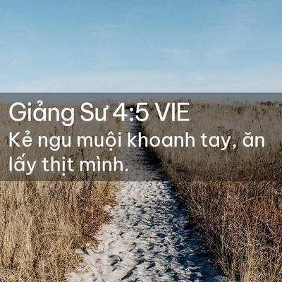 Picture 02 - Giảng Sư 4:5 VIE - Kẻ ngu muội khoanh tay, ăn lấy thịt - Bible Verse Picture