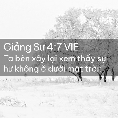 Picture 02 - Giảng Sư 4:7 VIE - Ta bèn xây lại xem thấy sự hư không ở - Bible Verse Picture