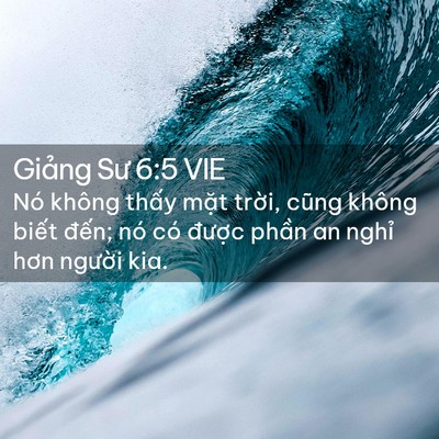 Picture 02 - Giảng Sư 6:5 VIE - Nó không thấy mặt trời, cũng không - Bible Verse Picture