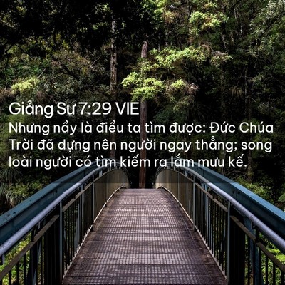 Picture 02 - Giảng Sư 7:29 VIE - Nhưng nầy là điều ta tìm được: Đức - Bible Verse Picture