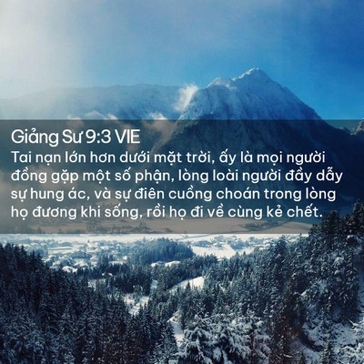 Picture 02 - Giảng Sư 9:3 VIE - Tai nạn lớn hơn dưới mặt trời, ấy - Bible Verse Picture