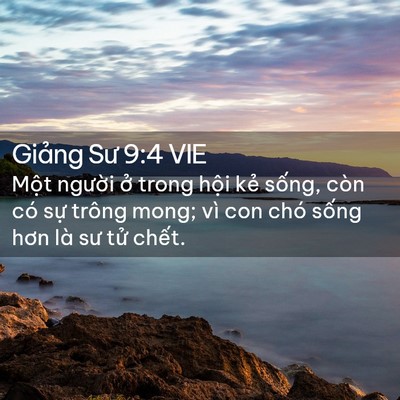 Picture 02 - Giảng Sư 9:4 VIE - Một người ở trong hội kẻ sống, còn - Bible Verse Picture