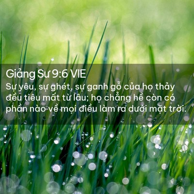 Picture 02 - Giảng Sư 9:6 VIE - Sự yêu, sự ghét, sự ganh gỗ của họ - Bible Verse Picture