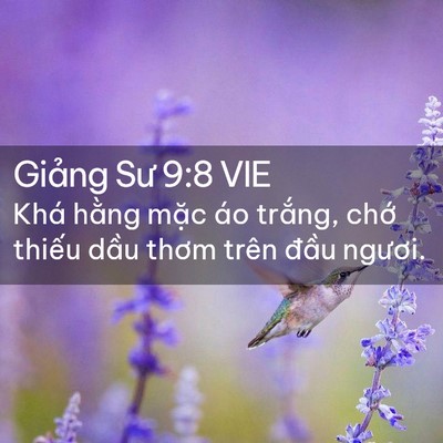 Picture 02 - Giảng Sư 9:8 VIE - Khá hằng mặc áo trắng, chớ thiếu - Bible Verse Picture