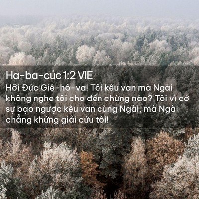 Picture 02 - Ha-ba-cúc 1:2 VIE - Hỡi Đức Giê-hô-va! Tôi kêu van mà Ngài - Bible Verse Picture