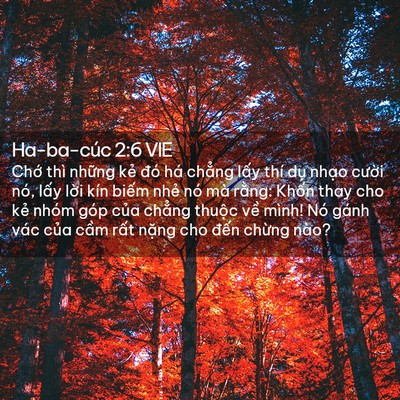 Picture 02 - Ha-ba-cúc 2:6 VIE - Chớ thì những kẻ đó há chẳng lấy - Bible Verse Picture