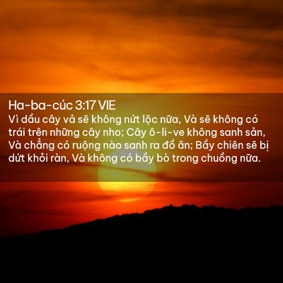 Picture 02 - Ha-ba-cúc 3:17 VIE - Vì dầu cây vả sẽ không nứt lộc - Bible Verse Picture