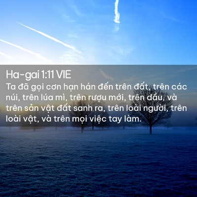 Picture 02 - Ha-gai 1:11 VIE - Ta đã gọi cơn hạn hán đến trên - Bible Verse Picture