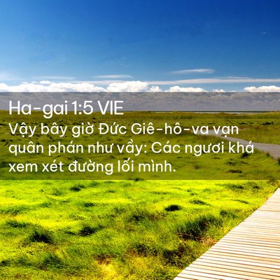 Picture 02 - Ha-gai 1:5 VIE - Vậy bây giờ Đức Giê-hô-va vạn quân - Bible Verse Picture