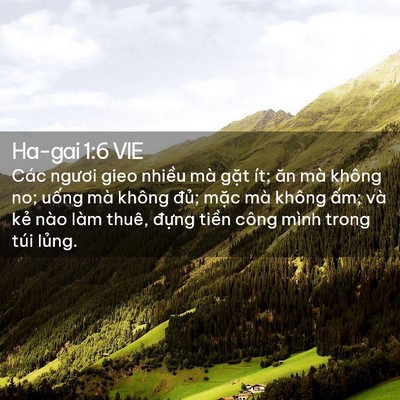 Picture 02 - Ha-gai 1:6 VIE - Các ngươi gieo nhiều mà gặt ít; ăn mà - Bible Verse Picture