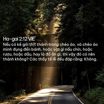 Picture 02 - Ha-gai 2:12 VIE - Nếu có kẻ gói thịt thánh trong chéo - Bible Verse Picture