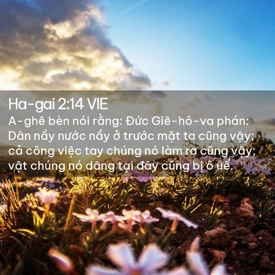 Picture 02 - Ha-gai 2:14 VIE - A-ghê bèn nói rằng: Đức Giê-hô-va - Bible Verse Picture