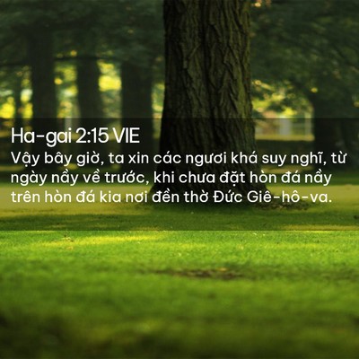 Picture 02 - Ha-gai 2:15 VIE - Vậy bây giờ, ta xin các ngươi khá suy - Bible Verse Picture