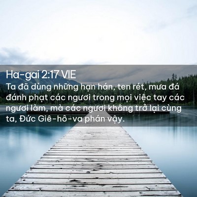 Picture 02 - Ha-gai 2:17 VIE - Ta đã dùng những hạn hán, ten rét, mưa - Bible Verse Picture