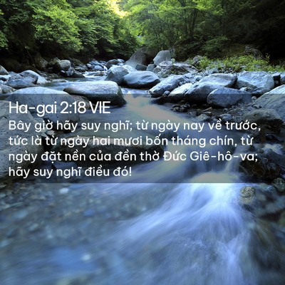 Picture 02 - Ha-gai 2:18 VIE - Bây giờ hãy suy nghĩ; từ ngày nay về - Bible Verse Picture