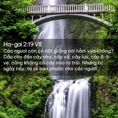 Picture 02 - Ha-gai 2:19 VIE - Các ngươi còn có hột giống nơi hầm - Bible Verse Picture