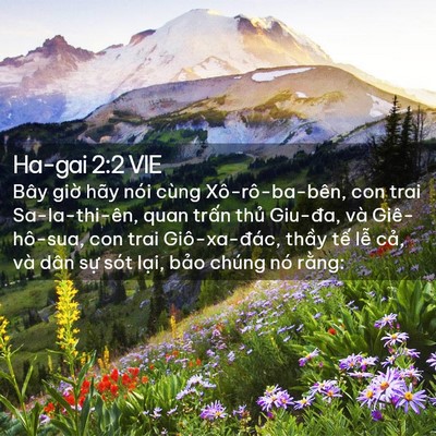 Picture 02 - Ha-gai 2:2 VIE - Bây giờ hãy nói cùng Xô-rô-ba-bên, con - Bible Verse Picture