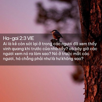 Picture 02 - Ha-gai 2:3 VIE - Ai là kẻ còn sót lại ở trong các - Bible Verse Picture