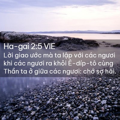 Picture 02 - Ha-gai 2:5 VIE - Lời giao ước mà ta lập với các ngươi - Bible Verse Picture