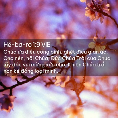 Picture 02 - Hê-bơ-rơ 1:9 VIE - Chúa ưa điều công bình, ghét điều gian - Bible Verse Picture