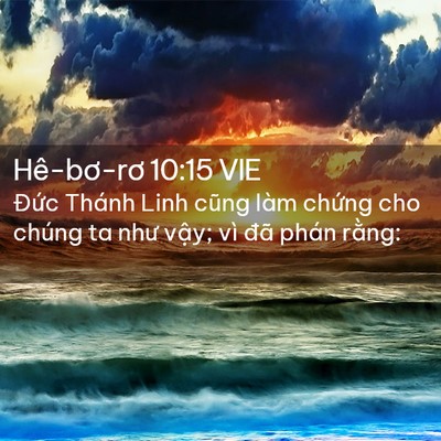 Picture 02 - Hê-bơ-rơ 10:15 VIE - Đức Thánh Linh cũng làm chứng cho chúng - Bible Verse Picture