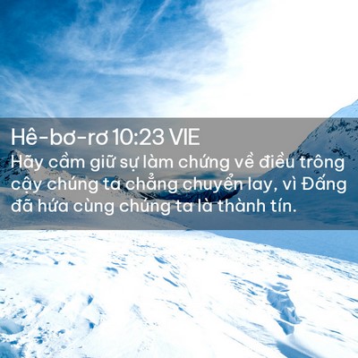 Picture 02 - Hê-bơ-rơ 10:23 VIE - Hãy cầm giữ sự làm chứng về điều - Bible Verse Picture