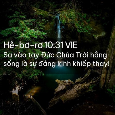 Picture 02 - Hê-bơ-rơ 10:31 VIE - Sa vào tay Đức Chúa Trời hằng sống là - Bible Verse Picture