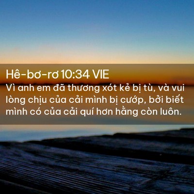 Picture 02 - Hê-bơ-rơ 10:34 VIE - Vì anh em đã thương xót kẻ bị tù, và - Bible Verse Picture