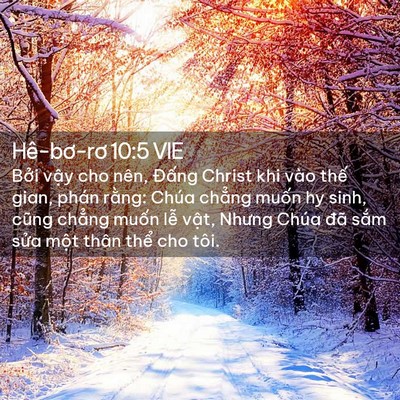 Picture 02 - Hê-bơ-rơ 10:5 VIE - Bởi vậy cho nên, Đấng Christ khi vào - Bible Verse Picture