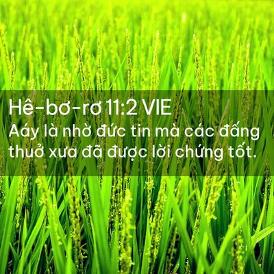 Picture 02 - Hê-bơ-rơ 11:2 VIE - Aáy là nhờ đức tin mà các đấng thuở - Bible Verse Picture