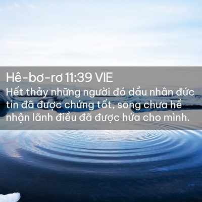 Picture 02 - Hê-bơ-rơ 11:39 VIE - Hết thảy những người đó dầu nhân - Bible Verse Picture