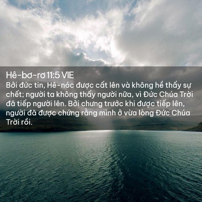 Picture 02 - Hê-bơ-rơ 11:5 VIE - Bởi đức tin, Hê-nóc được cất lên - Bible Verse Picture