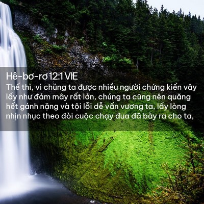 Picture 02 - Hê-bơ-rơ 12:1 VIE - Thế thì, vì chúng ta được nhiều - Bible Verse Picture