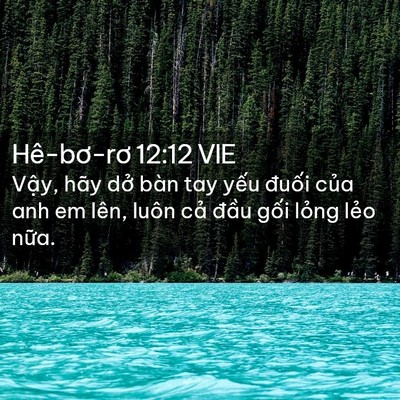 Picture 02 - Hê-bơ-rơ 12:12 VIE - Vậy, hãy dở bàn tay yếu đuối của anh - Bible Verse Picture