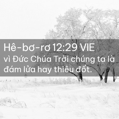 Picture 02 - Hê-bơ-rơ 12:29 VIE - vì Đức Chúa Trời chúng ta là đám lửa - Bible Verse Picture