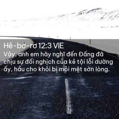 Picture 02 - Hê-bơ-rơ 12:3 VIE - Vậy, anh em hãy nghĩ đến Đấng đã - Bible Verse Picture