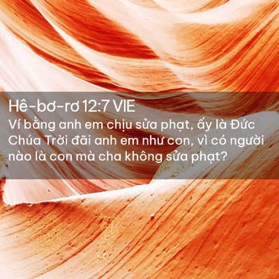 Picture 02 - Hê-bơ-rơ 12:7 VIE - Ví bằng anh em chịu sửa phạt, ấy là - Bible Verse Picture