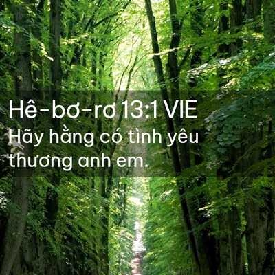 Picture 02 - Hê-bơ-rơ 13:1 VIE - Hãy hằng có tình yêu thương anh - Bible Verse Picture