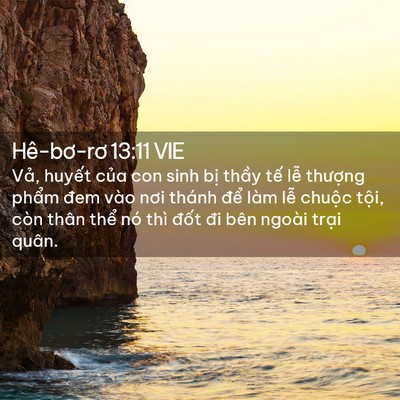 Picture 02 - Hê-bơ-rơ 13:11 VIE - Vả, huyết của con sinh bị thầy tế - Bible Verse Picture