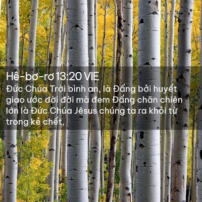 Picture 02 - Hê-bơ-rơ 13:20 VIE - Đức Chúa Trời bình an, là Đấng bởi - Bible Verse Picture