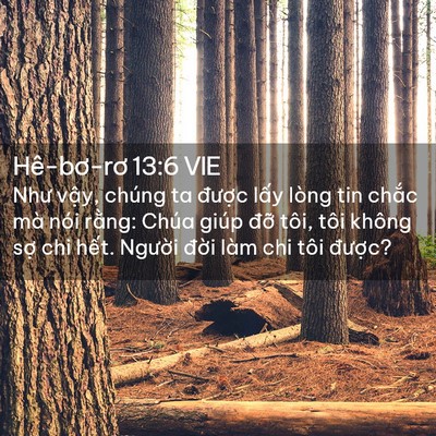 Picture 02 - Hê-bơ-rơ 13:6 VIE - Như vậy, chúng ta được lấy lòng tin - Bible Verse Picture