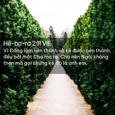 Picture 02 - Hê-bơ-rơ 2:11 VIE - Vì Đấng làm nên thánh và kẻ được - Bible Verse Picture