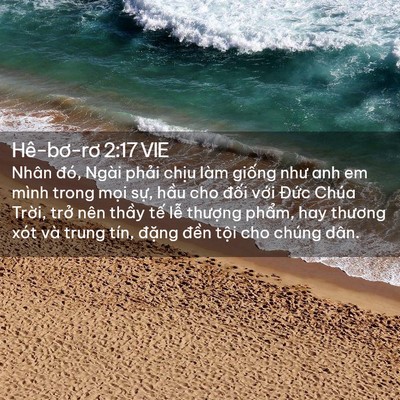 Picture 02 - Hê-bơ-rơ 2:17 VIE - Nhân đó, Ngài phải chịu làm giống như - Bible Verse Picture