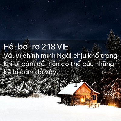 Picture 02 - Hê-bơ-rơ 2:18 VIE - Vả, vì chính mình Ngài chịu khổ trong - Bible Verse Picture