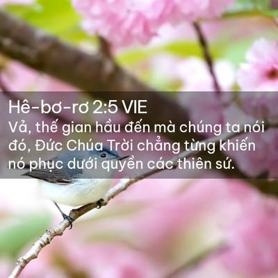 Picture 02 - Hê-bơ-rơ 2:5 VIE - Vả, thế gian hầu đến mà chúng ta nói - Bible Verse Picture