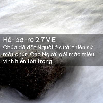 Picture 02 - Hê-bơ-rơ 2:7 VIE - Chúa đã đặt Người ở dưới thiên - Bible Verse Picture