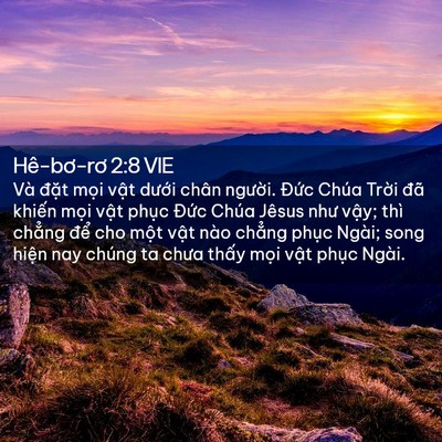 Picture 02 - Hê-bơ-rơ 2:8 VIE - Và đặt mọi vật dưới chân người. - Bible Verse Picture