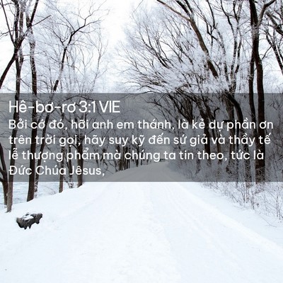 Picture 02 - Hê-bơ-rơ 3:1 VIE - Bởi cớ đó, hỡi anh em thánh, là kẻ - Bible Verse Picture