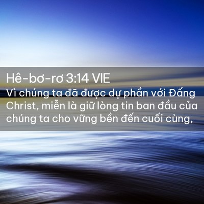 Picture 02 - Hê-bơ-rơ 3:14 VIE - Vì chúng ta đã được dự phần với - Bible Verse Picture